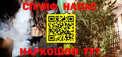 прущие грибы Можга