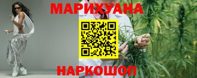 прущие грибы Можга
