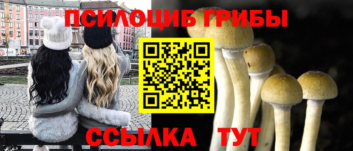 Псилоцибиновые грибы прущие грибы Стрежевой